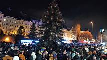Rozsvícení vánočního stromu v Karlových Varech v roce 2022. 