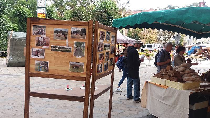 Karlovarský folklorní festival je i letos společný s Porcelánovými slavnostmi.