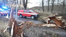 V Karlových Varech havarovalo velitelské auto hasičů, které jelo k zásahu. Narazilo do stromu, který spadl přímo před něj.
