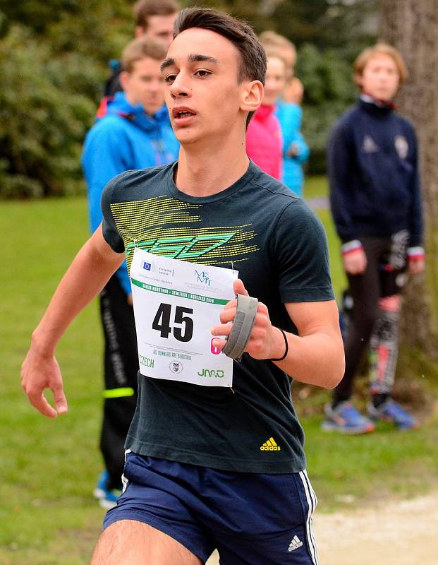 Semifinálové kolo juniorského maratonu opět ovládlo Gymnázium Cheb, které se tak podívá na celostátní finále.