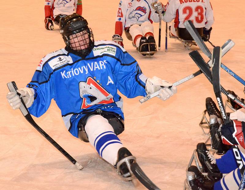 Sledge hokej: SKV Sharks K. Vary - SHK Mustangové AUTO IN 3:1.