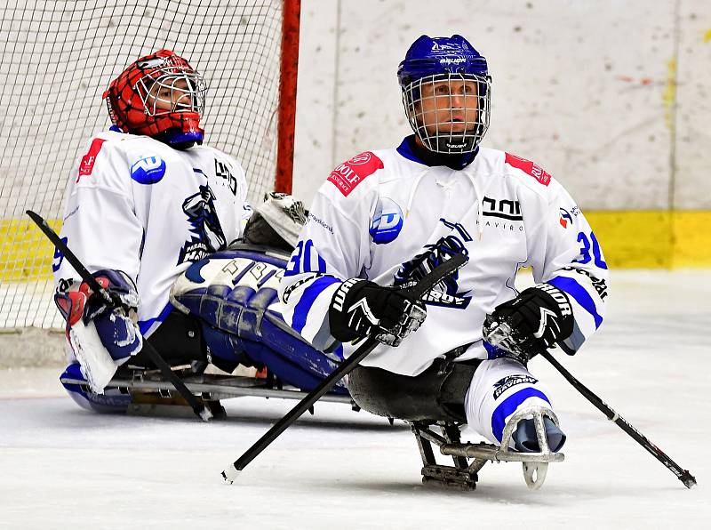 Dvě výhry během víkendu slavili v domácím prostředí para hokejisté SKV Sharks Karlovy Vary, kteří zdolali Havířov i Zlín.