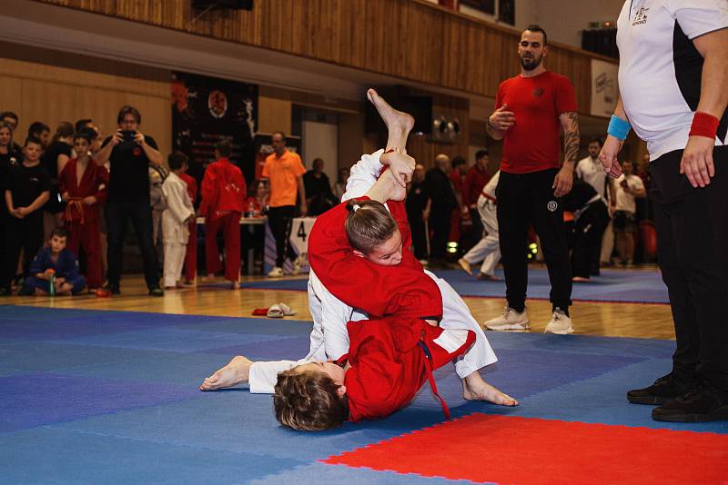 Velkolepá tečka. Samurajové na Christmas Cupu dosáhli na čtyřiačtyřicet medailí. Foto: Oksana Dobei