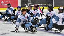 Již dva dny bojují v rámci I. ročníku Karlovy Vary Para Ice Hockey Tournament v lázeňském městě na ledě KV Areny o vítěznou trofej čtyři para hokejové výběry.