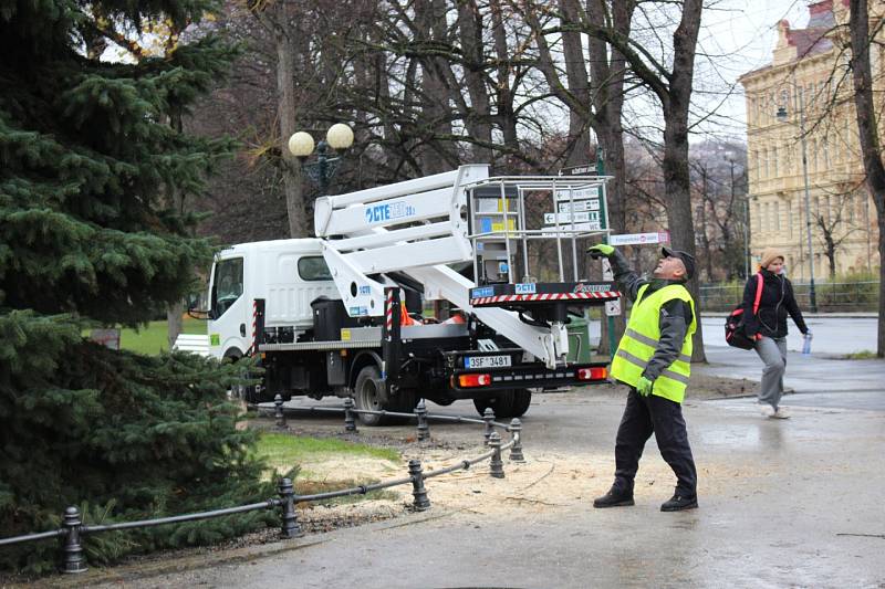 Vánoční strom města Karlovy Vary bude stát před Hlavní poštou.