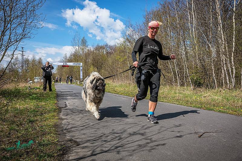 Obrazem 1/4 a 1/2maraton Okolo Meluzínky.