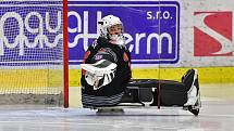 Již dva dny bojují v rámci I. ročníku Karlovy Vary Para Ice Hockey Tournament v lázeňském městě na ledě KV Areny o vítěznou trofej čtyři para hokejové výběry.