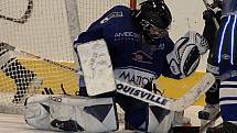 Jistý vítěz krajského hokejového přeboru HC Mattoni Ostrov (v modrém) hostil o víkendu celek Vřesové.