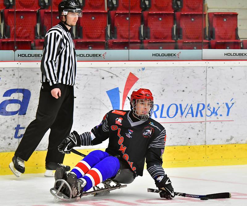 Již dva dny bojují v rámci I. ročníku Karlovy Vary Para Ice Hockey Tournament v lázeňském městě na ledě KV Areny o vítěznou trofej čtyři para hokejové výběry.