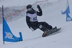 Snowboardisté měli na programu paralelní obří slalom. Ve všech čtyřech kategoriích si velmi dobře vedl Moravskoslezský kraj, který získal celkem pět medailových umístění. V kategorii mladších dívek zazářil kraj Ústecký. Foto: Radek Miča/Czech Olympic