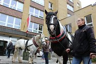 Protest fiakristů před karlovarským magistrátem.