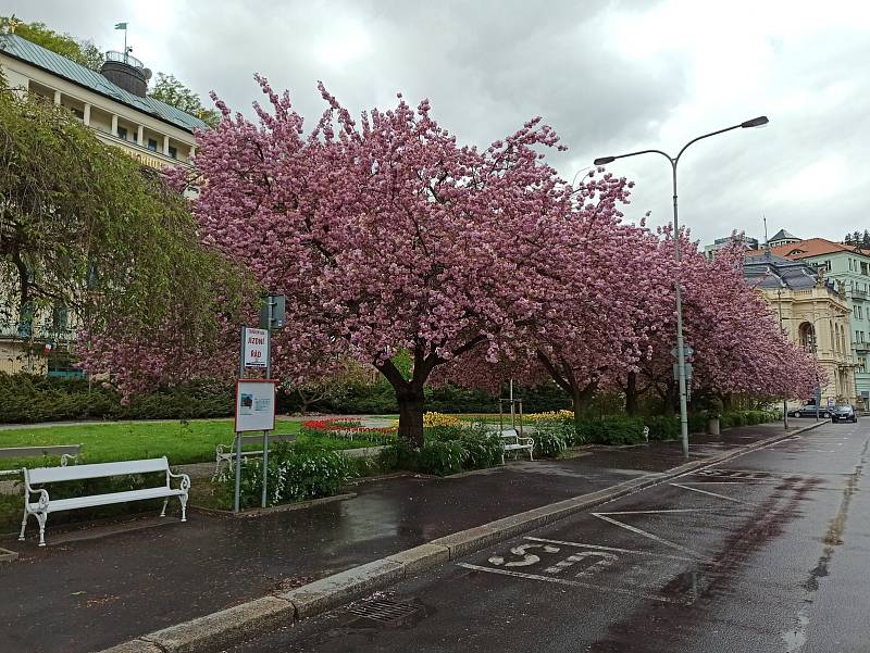 Takto vypadal park vloni v květnu.