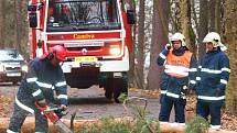 HASIČI V PLNÉM NASAZENÍ. Sbory hasičů se o uplynulém víkendu skutečně nenudily. V Karlových Varech – Drahovicích museli například odstraňovat strom, který spadl přímo na vozovku.