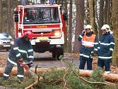 HASIČI V PLNÉM NASAZENÍ. Sbory hasičů se o uplynulém víkendu skutečně nenudily. V Karlových Varech – Drahovicích museli například odstraňovat strom, který spadl přímo na vozovku.