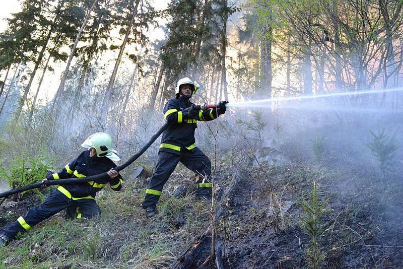 Požár trávy a lesa ve Vojkovicích