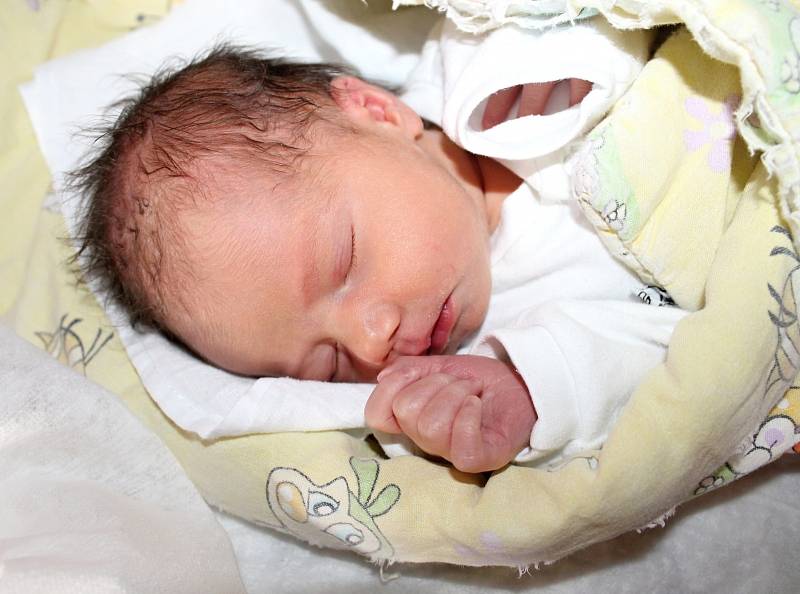 Marianna Kalinová z Plzně se narodila 8. 7. 2014 v porodnici v Klatovech    