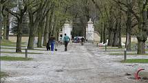 Ratměřický zámek se po dlouhé době dočkal nákladných oprav. Na začátku května bude zpřístupněný veřejnosti park, posléze i restaurace s hotelem. Zájemci se aktuálně mohou těšit na vycházky po krásném areálu ratměřického zámku.