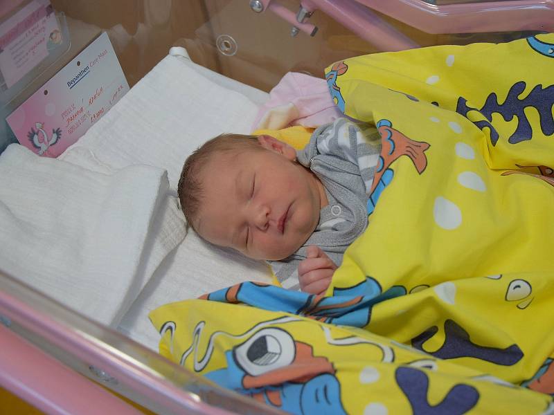 Adéla Drsková se Martině Štanglové a Jiřímu Drskovi narodila v benešovské nemocnici 2 září 2020 v 11.22 hodin, vážila 3620 gramů. Doma ve Velkých Heřmanicích na ni čekají sestry Šárka (8) a Michaela (15).