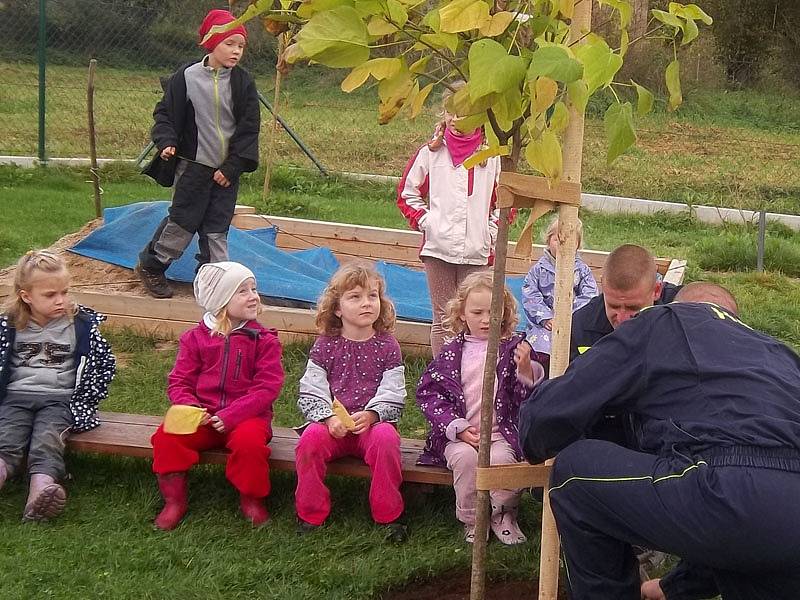 Cizokrajný listnáč ozdobil zahradu v Mateřské škole Nespeky.