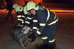 Noční cvičení hasičů v Jankově.