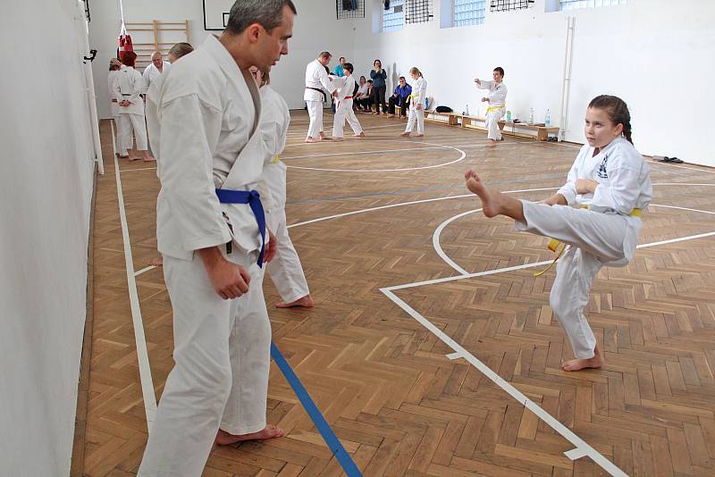 Ze zkoušek karatistického oddílu Sanchin Dojo.