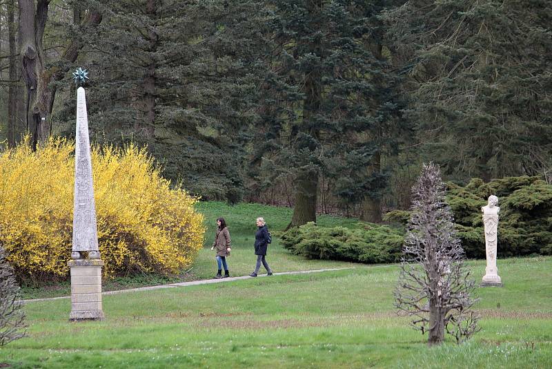 Konopišťská Růžová zahrada nabízí malebný pohled na vzhledné exteriéry, příjemně překvapí i tamější skleníky se zajímavou flórou.