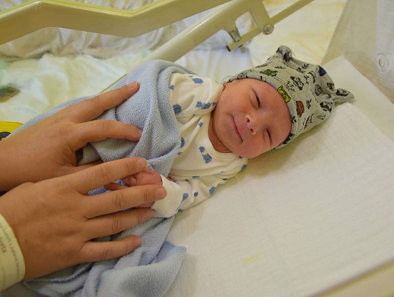 Albert Babický se Ivetě Šebkové a Karlu Babickému narodil v benešovské nemocnici 7. října 2021 v 18.47 hodin, vážil 3020 gramů. Bydlištěm rodiny jsou Jírovice.
