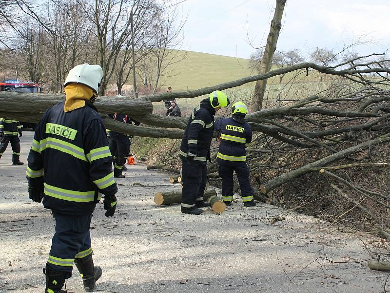 Spadlý strom na silnici mezi Smilkovem a Kouty.