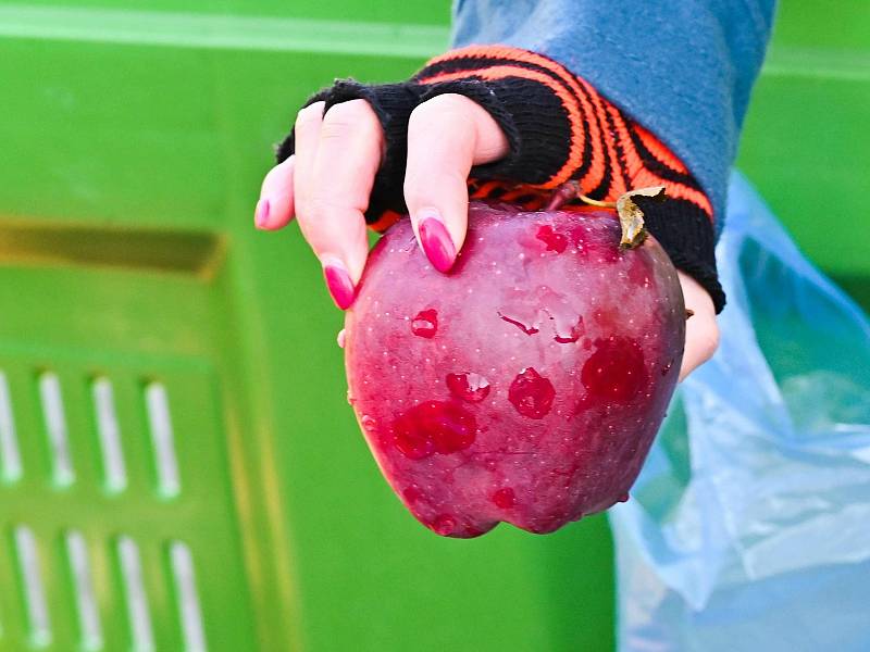 Z farmářských trhů na Masarykově náměstí v Benešově.