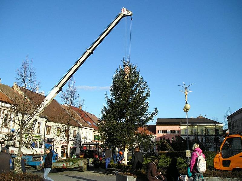 Stavění vánočního stromu na Masarykově náměstí.