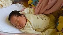 An Vu Tam (Anička) se Nguyen Thi Van a Vu Duc Thang narodila v benešovské nemocnici 12. března 2022 v 0.15 hodin, vážila 3410 gramů. Bydlištěm rodiny je Benešov.