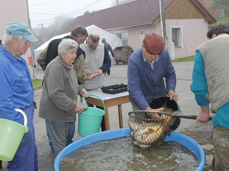 Výlov rybníčku v Bernarticích na návsi.