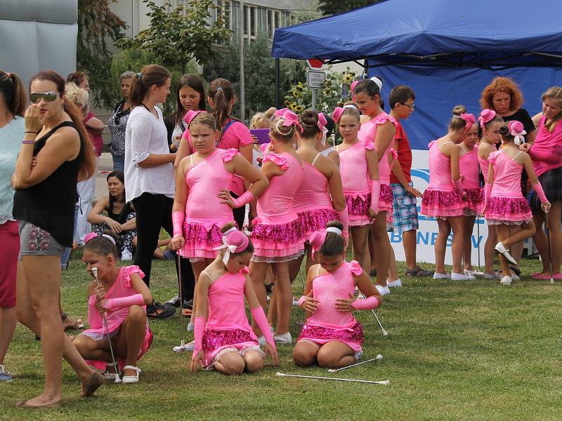 Benefiční festival na podporu dlouhodobě nemocných pacientů benešovské nemocnice Open door hospital fest. 