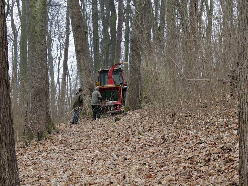 Osmá brigáda Spolku přátel Konopiště v zámeckém parku