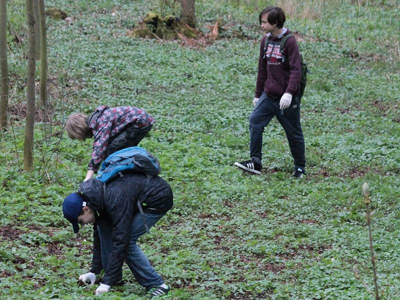 Školáci ze ZŠ Dukelská uklízeli nepořádek v Konopišťském parku.