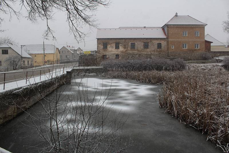 Pivovarský rybník v Louňovicích pod Blaníkem v lednu roku 2021.