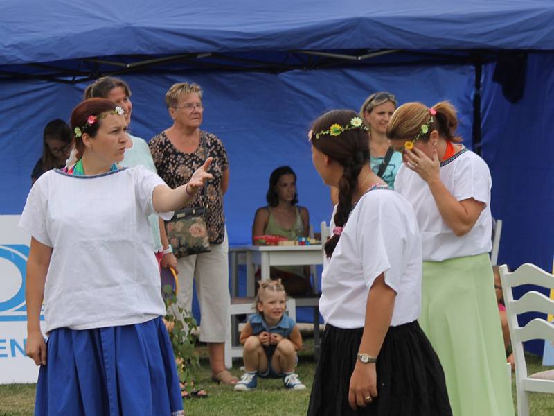 Benefiční festival na podporu dlouhodobě nemocných pacientů benešovské nemocnice Open door hospital fest. 