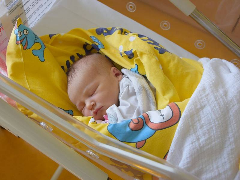 Mariana Stehlíková se Haně a Tomášovi narodila v benešovské nemocnici 21. května 2022 ve 12.38 hodin, vážila 3260 gramů. Holčička má bratra Honzíka (11) a rodina bydlí ve Vlašimi.