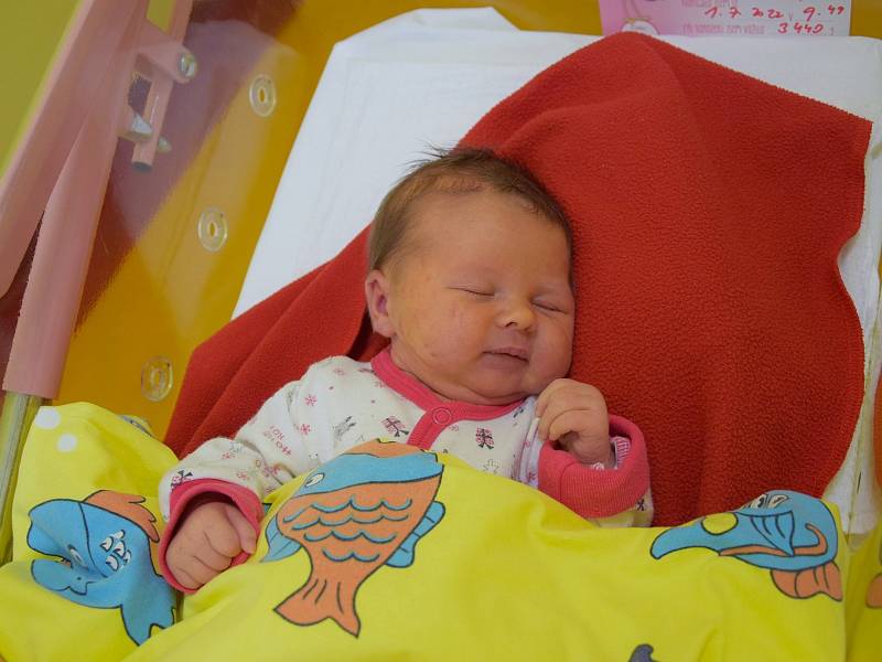 Angelika Dobšová se Gabriele a Milanovi narodila v benešovské nemocnici 1. července v 9.49 hodin, vážila 3440 gramů. Angelika má bratry Pavla (16) a Matýska (9). Rodina bydlí v Mukařově.