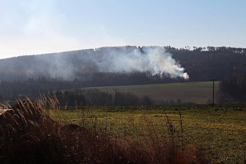 Z úklidu lesa po těžbě dřeva na sever od Trhového Štěpánova.