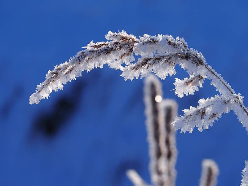 Poslední skutečně mrazivý den letošní zimy, kdy bylo nějakých -18°C, zvěčnila naše čtenářka Káča Skalská.