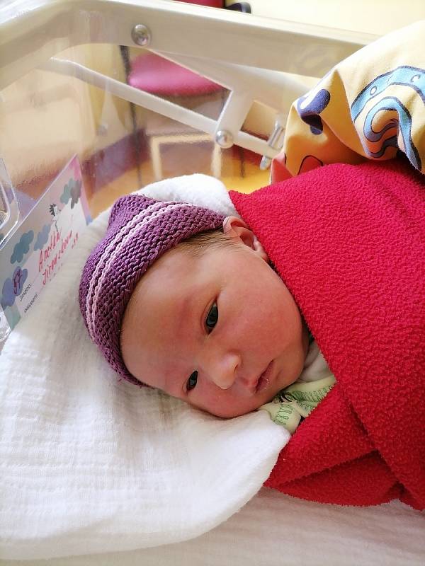 Anetka Jiroušková se narodila manželům Ladislavě a Radkovi v benešovské nemocnici 24. září 2021 ve 3.27 hodin, vážila 3610 g. Doma v Bystřici na nič čekal bráška Lukášek (8).