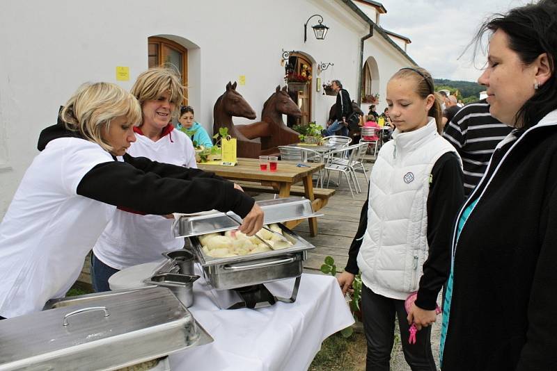 Jahodobraní v Benicích.