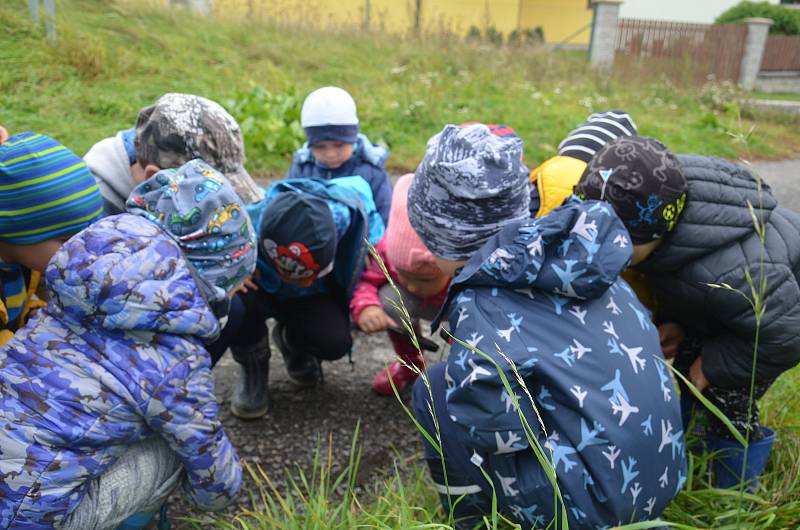 Po stopách divočáka aneb setkání dětí ze školky MiniSvět v Mrači s divokým prasetem.