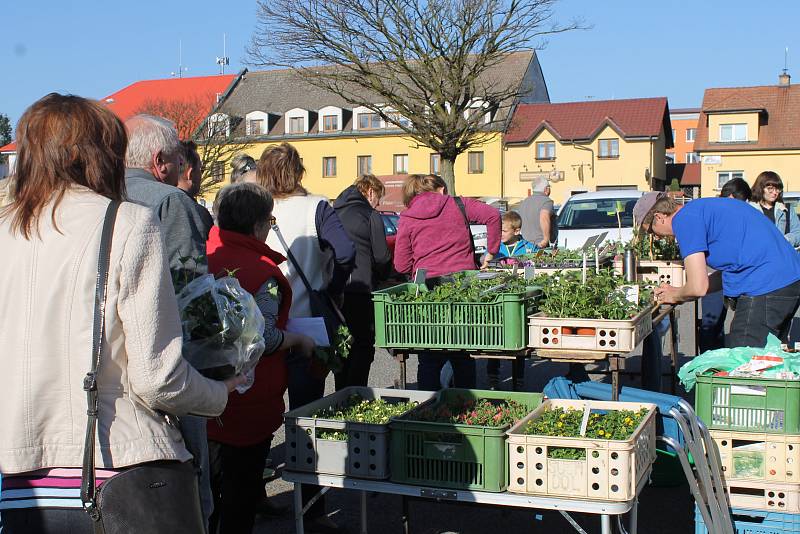 Farmářské trhy v Bystřici.