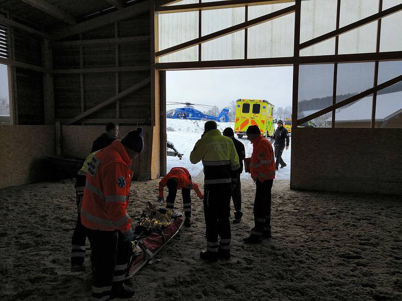 Otřes mozku s krátkodobým bezvědomím a tržnou ránu na hlavě utrpěl ve středu 9. ledna 2019 muž, kterého kůň kopl poblíž Čerčan. Do motolské nemocnice byl přepraven letecky.