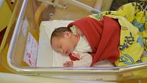 Linda Formanová se Haně a Pavlovi narodila v benešovské nemocnici 22. listopadu 2022 v 8.47 hodin, vážila 3430 gramů. Doma v Čechticích na ni čekal bratr Pavlík (2).