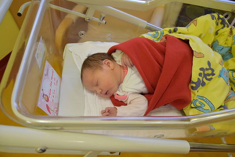 Linda Formanová se Haně a Pavlovi narodila v benešovské nemocnici 22. listopadu 2022 v 8.47 hodin, vážila 3430 gramů. Doma v Čechticích na ni čekal bratr Pavlík (2).