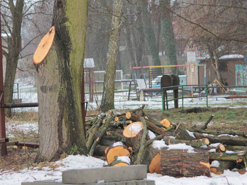 Prořezávání větví lip v Jablonné nad Vltavou dělala odborná firma.