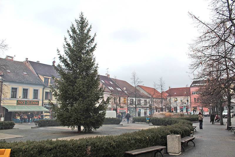 Vánoční strom na Masarykově náměstí v Benešově.